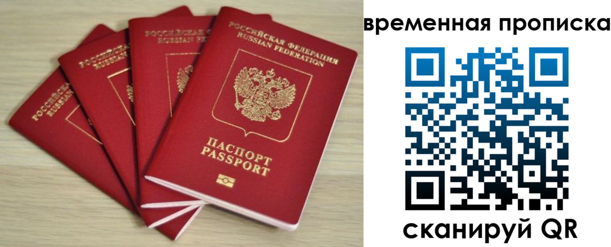прописка для школы в Рязанской области